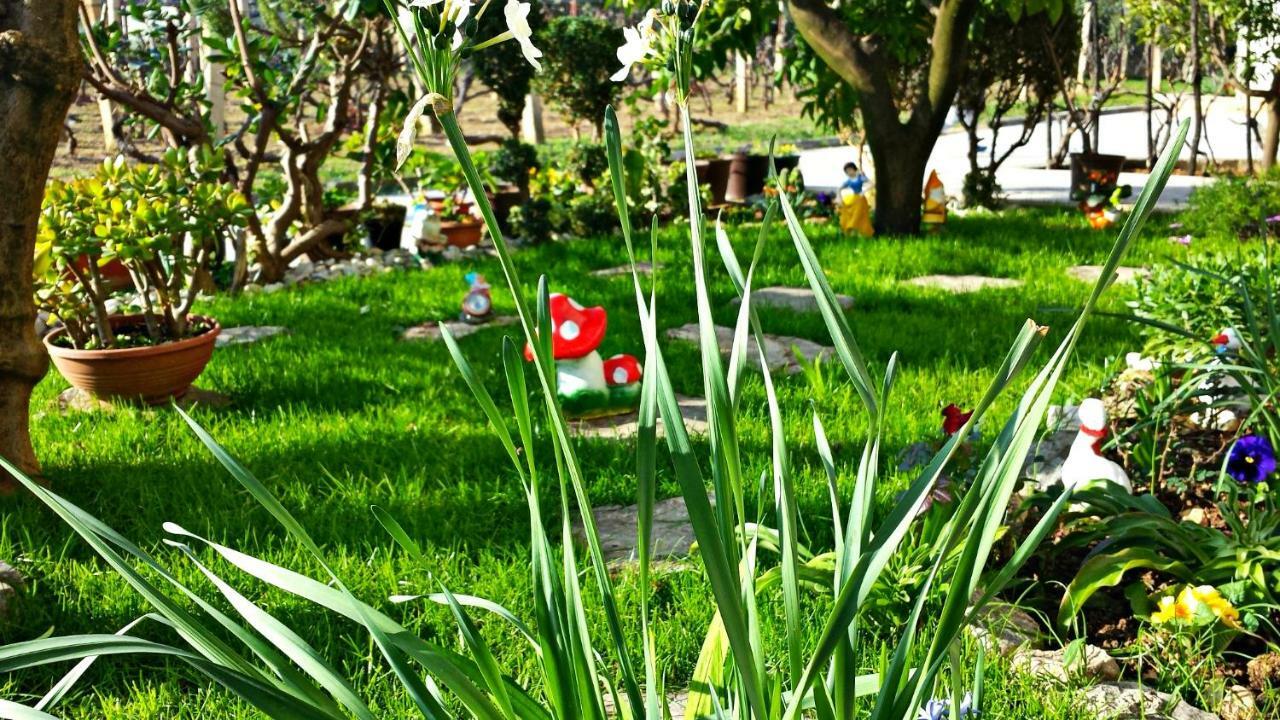 Apartmani Anda Trogir Bagian luar foto